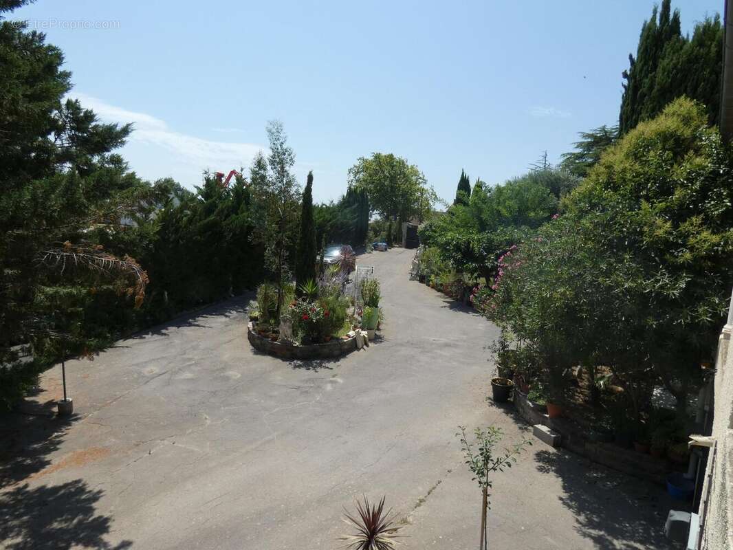 Photo 4 - Maison à PEYRIAC-MINERVOIS