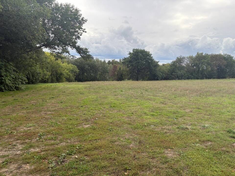 Terrain à MONTASTRUC-LA-CONSEILLERE