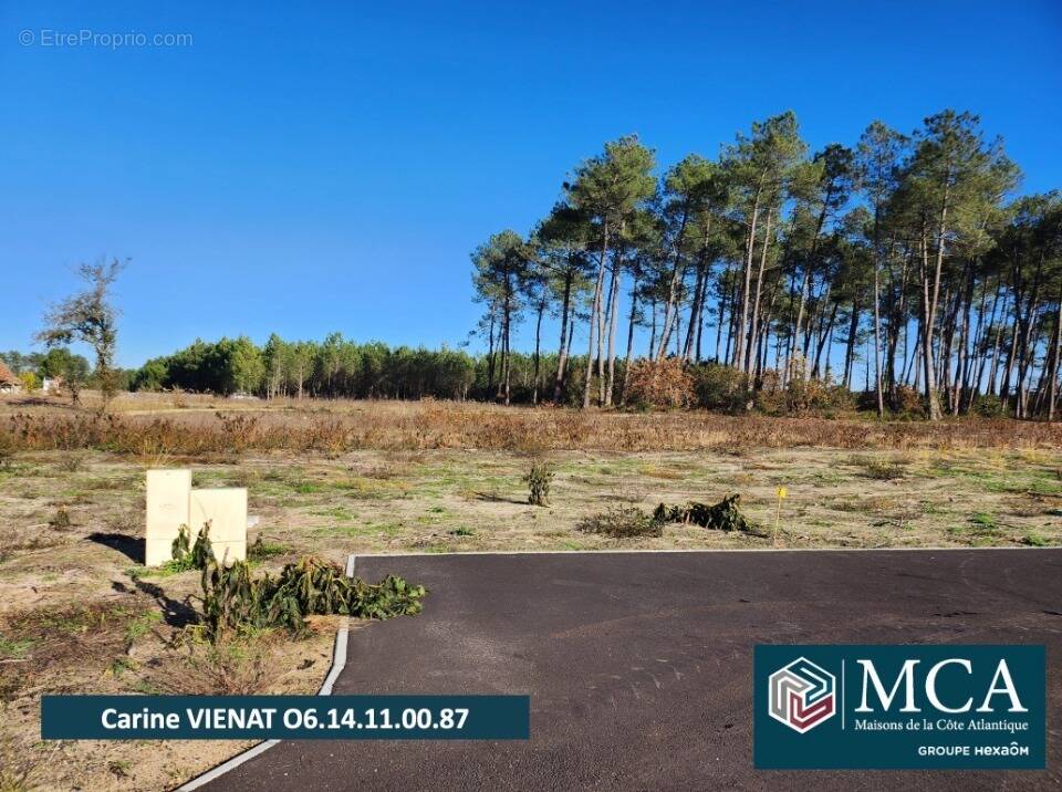 Photo Terrain à Pissos au prix de 94 000€