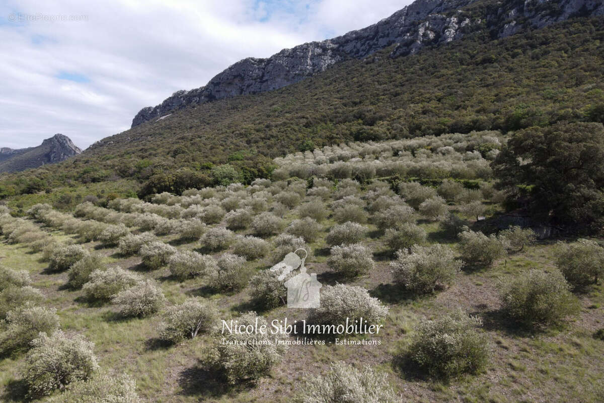 Terrain à SAINT-PAUL-DE-FENOUILLET