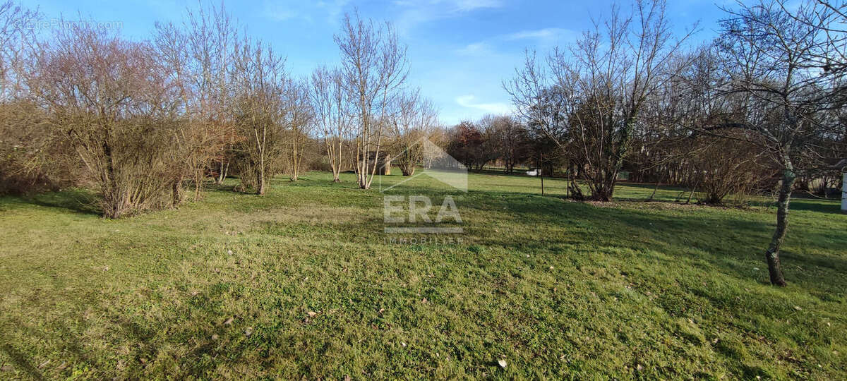 Terrain à DAMPARIS