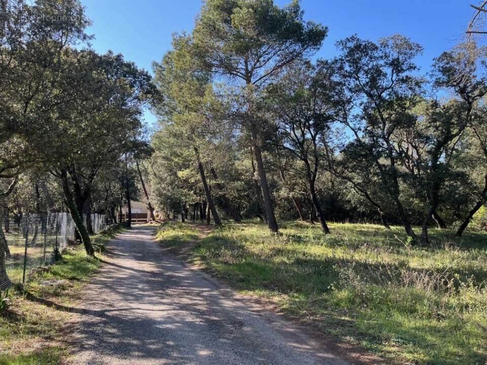 Terrain à SUZE-LA-ROUSSE