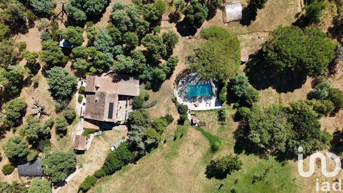 Photo 2 - Maison à BORMES-LES-MIMOSAS
