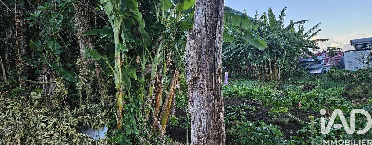 Photo 1 - Terrain à SAINT-DENIS