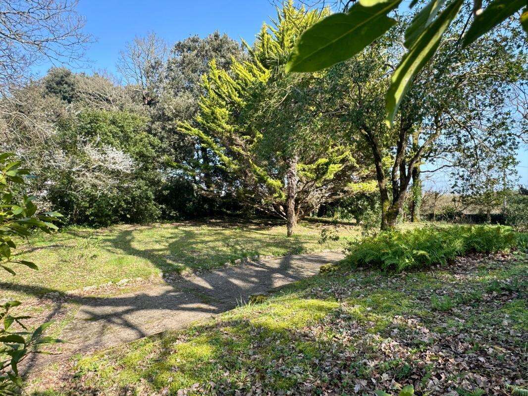 A VENDRE - Villa avec vue sur l'océan ! - photo 5