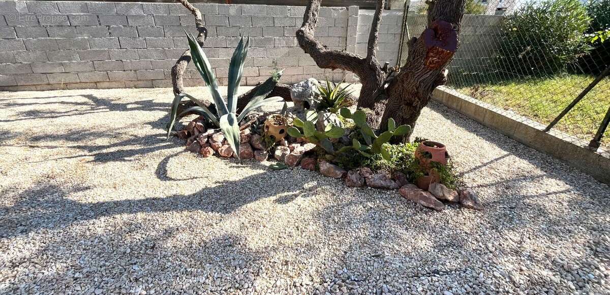 Maison à FRONTIGNAN