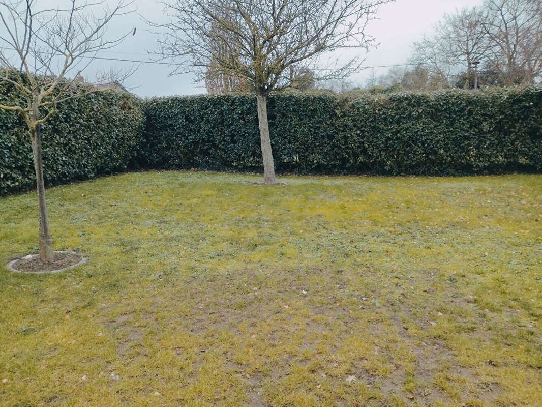 Maison à CHALONNES-SUR-LOIRE