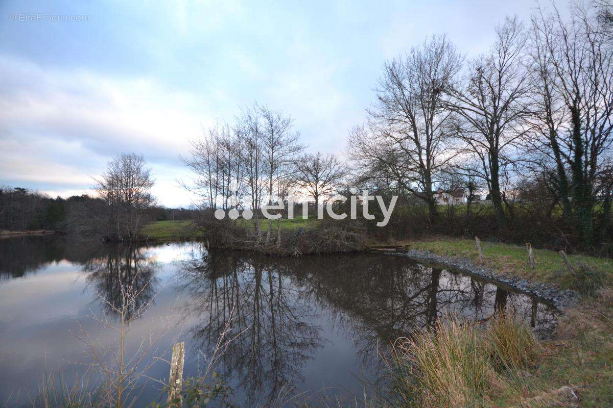Maison à LA NOCLE-MAULAIX