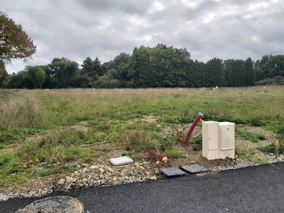 Terrain à LA FERTE-ALAIS