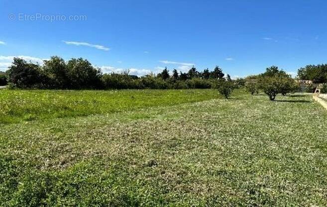 Terrain à ALTHEN-DES-PALUDS