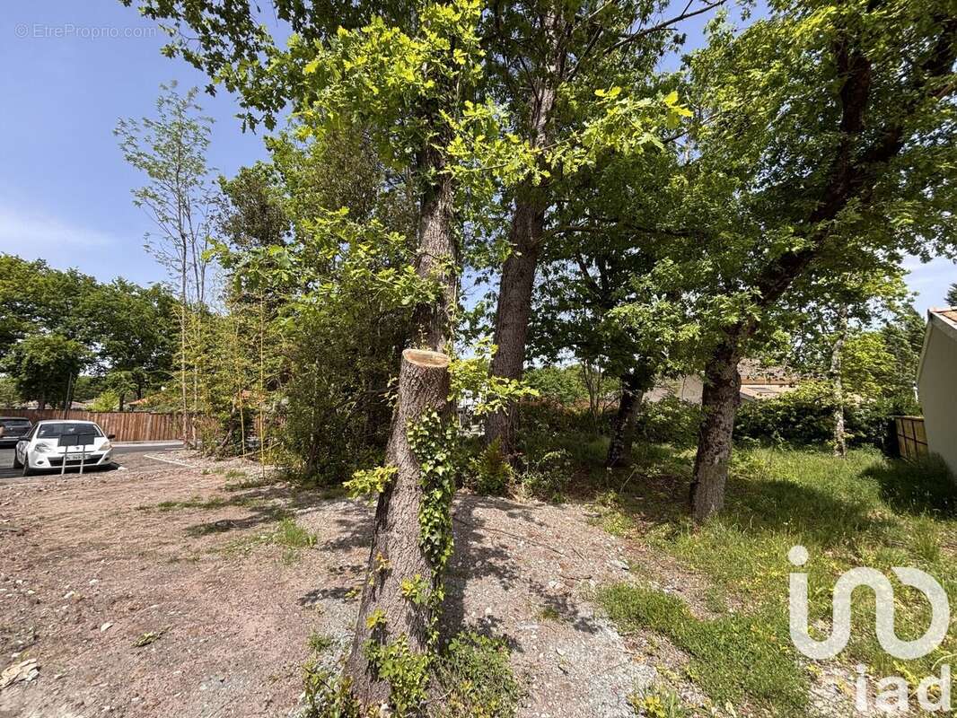 Photo 3 - Terrain à LE TAILLAN-MEDOC