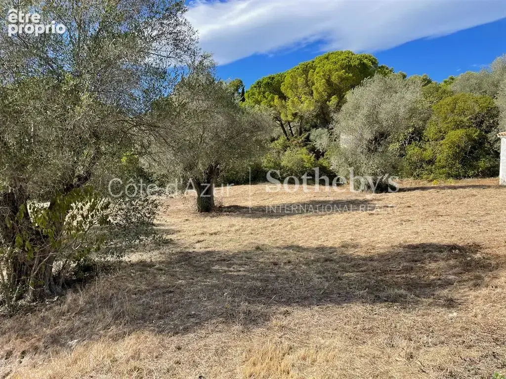 Photo Terrain à Mougins au prix de 7 500 000€