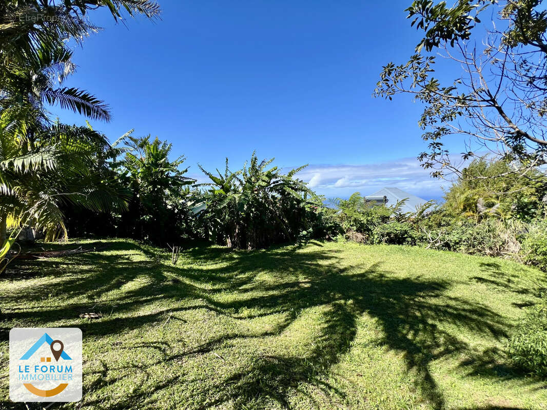 Terrain à PETITE-ILE