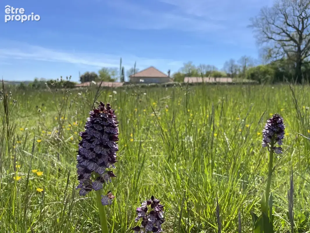 Magnifique propriété en pierre, restaurée, avec 4 hectares de terrain, à proximités de Condom et Lectoure - photo 35