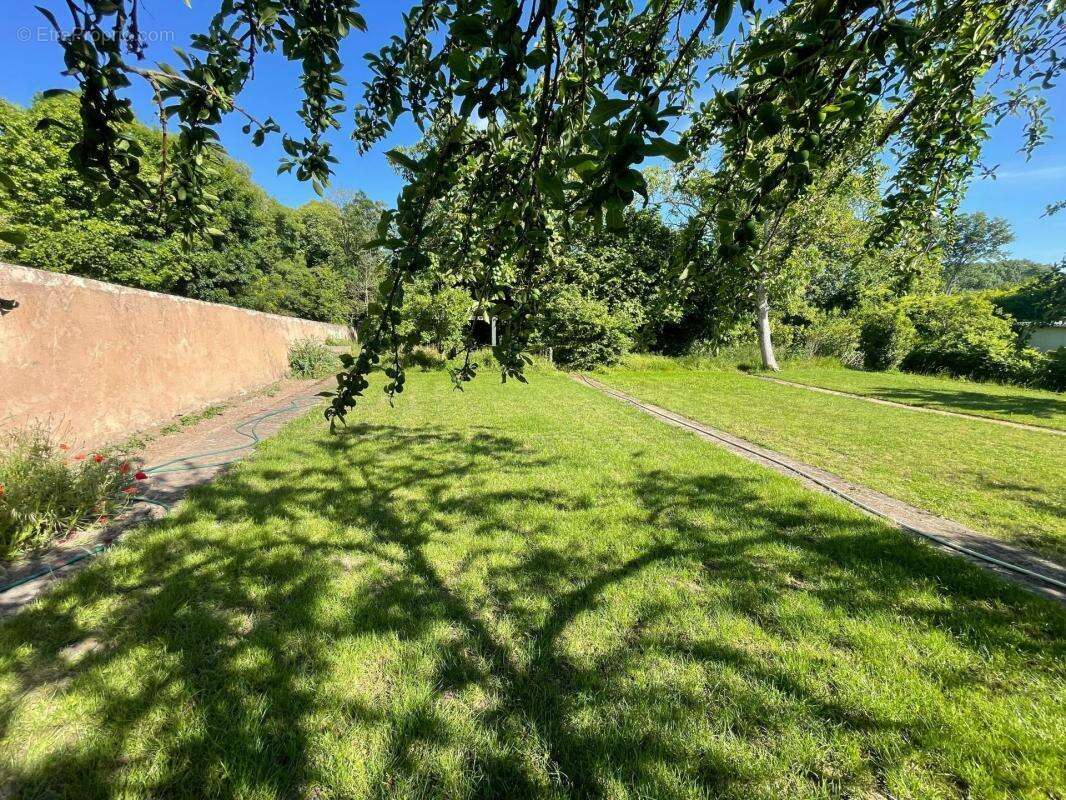 Bord de la Sarthe terrain constructible viabilisé! - photo 6