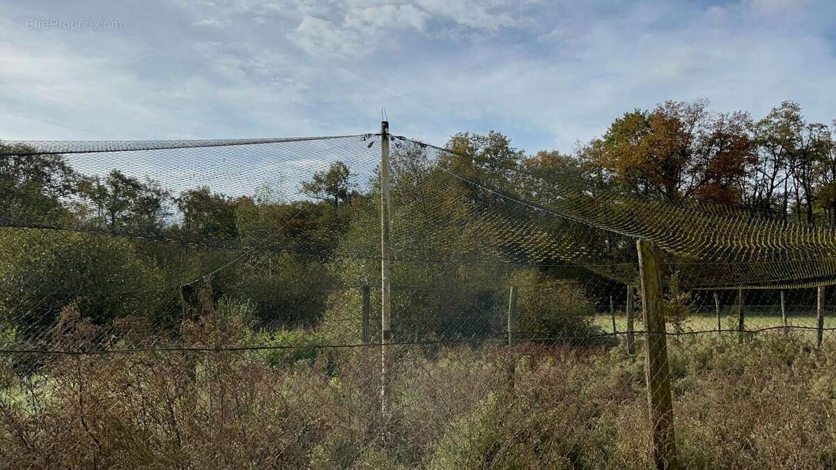 Photo 8 - Maison à SAINT-DIDIER-D'AUSSIAT