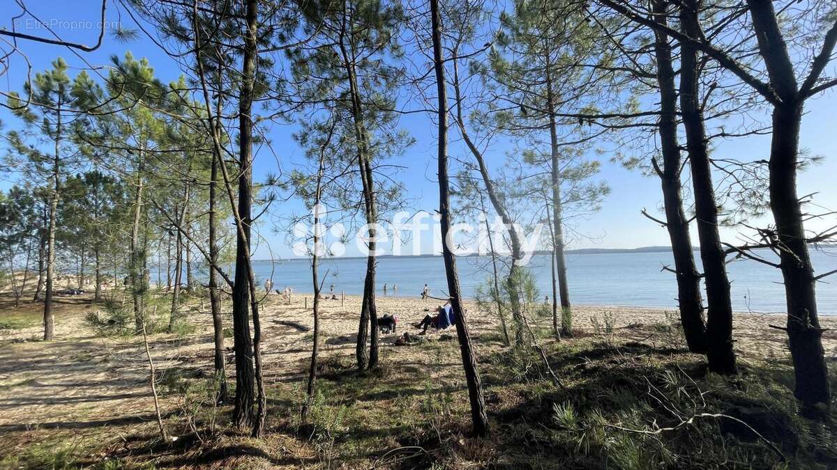 Terrain à DOLUS-D&#039;OLERON