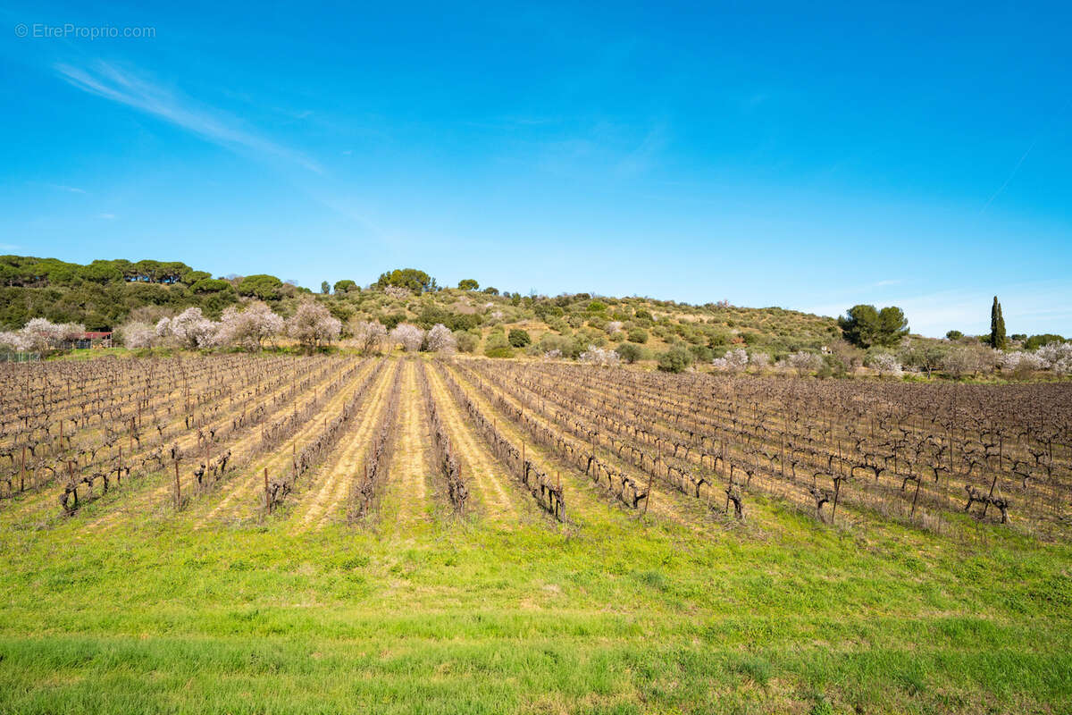Maison à BELLEGARDE