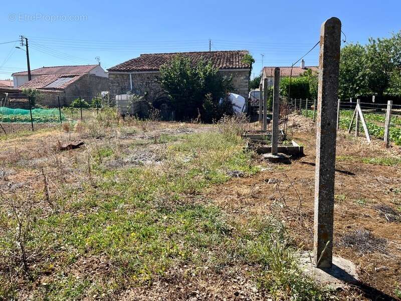Maison 4 pièces THIRE (85) - photo 2