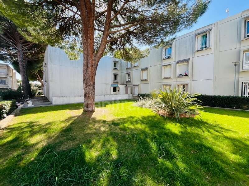 Studio montpellier alco 27 m2 - photo 6