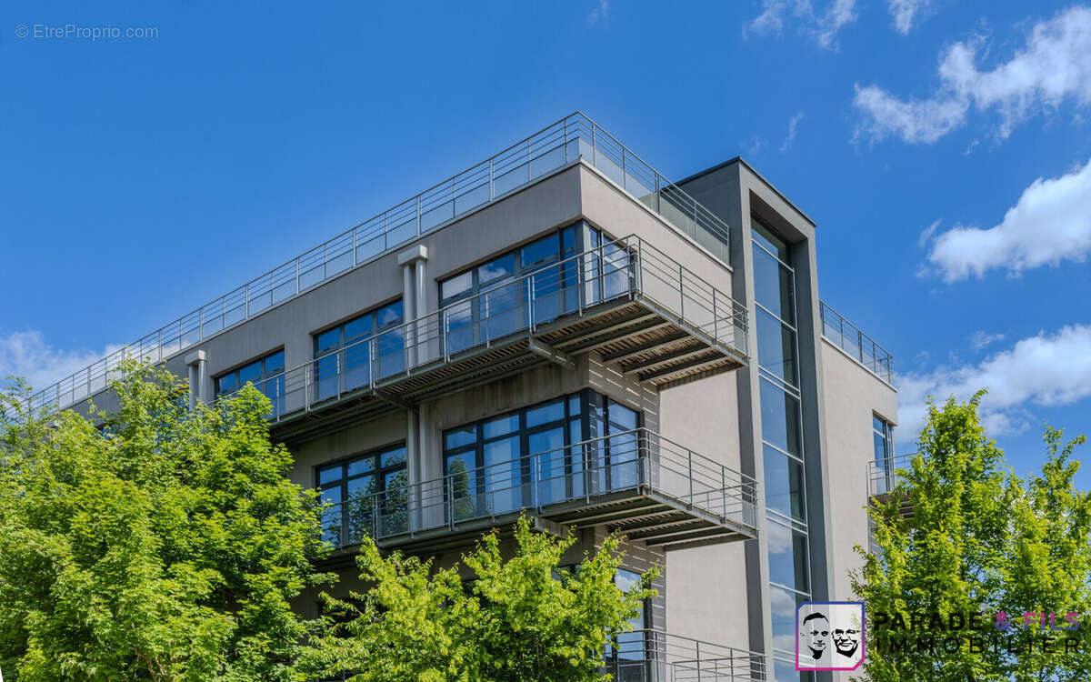 Commerce à MAXEVILLE