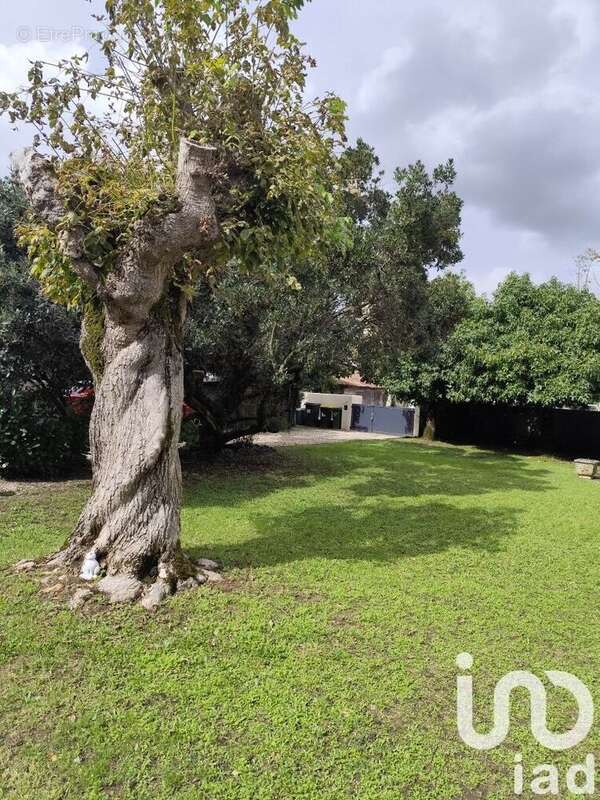 Photo 4 - Maison à LESPARRE-MEDOC