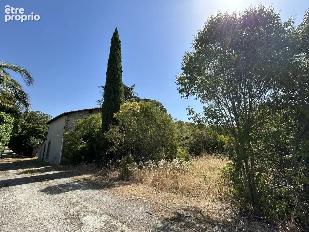 À Bram (11), maison en pierres apparentes à aménager sur un beau terrain de 3300 m2 constructible. - photo 6