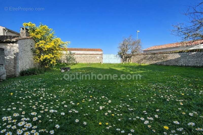 Terrain à SAINTE-MARIE-DE-RE