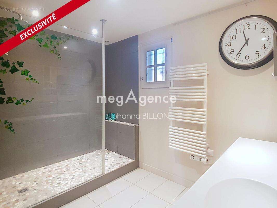 Maison à SAVONNIERES