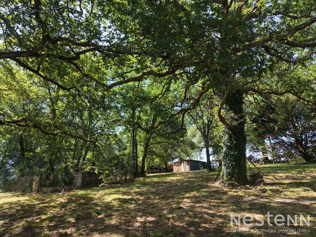 A Vendre Maison en pierre rénovée avec dépendances, piscine et parc arboré sur un hectare - photo 20