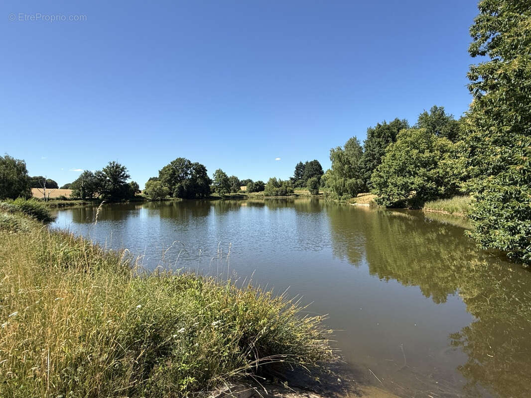 Parcelle de 8ha avec etang - photo 2