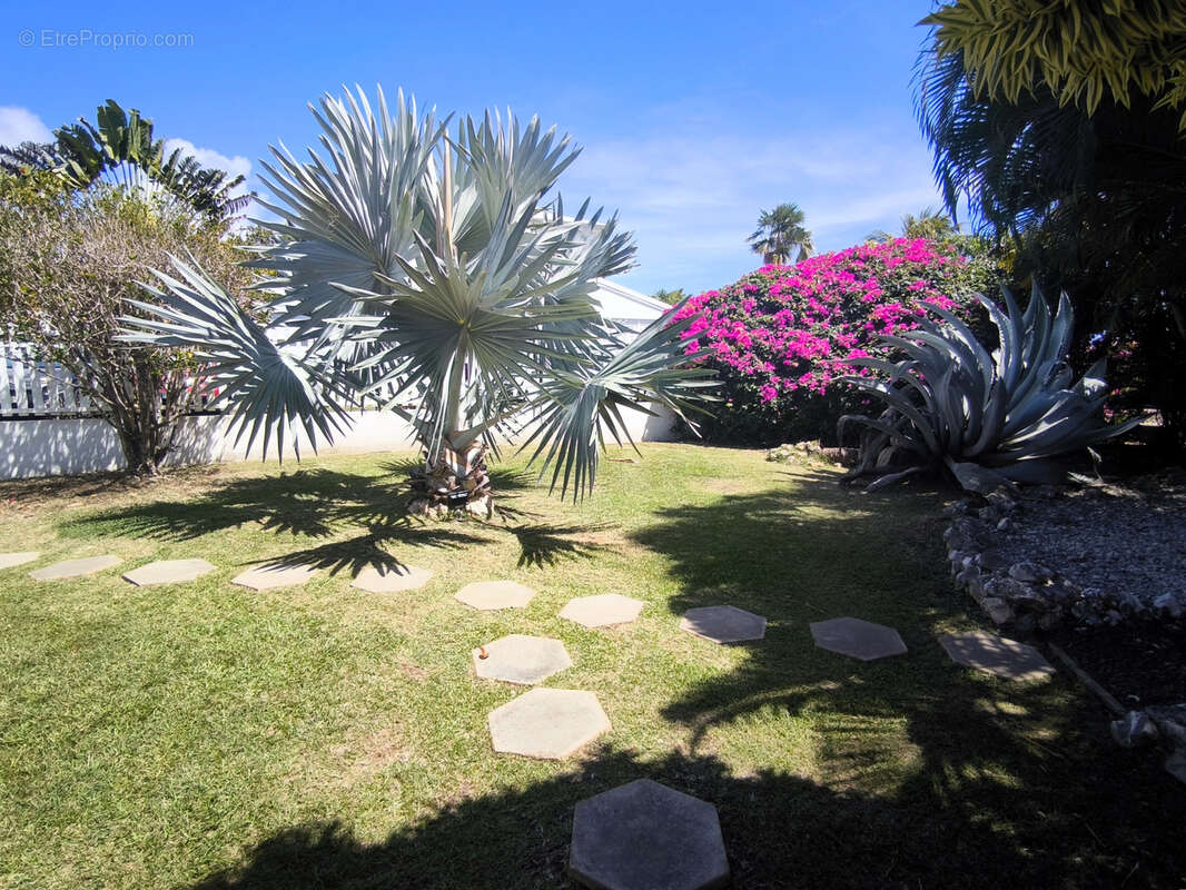 Maison à SAINTE-ANNE