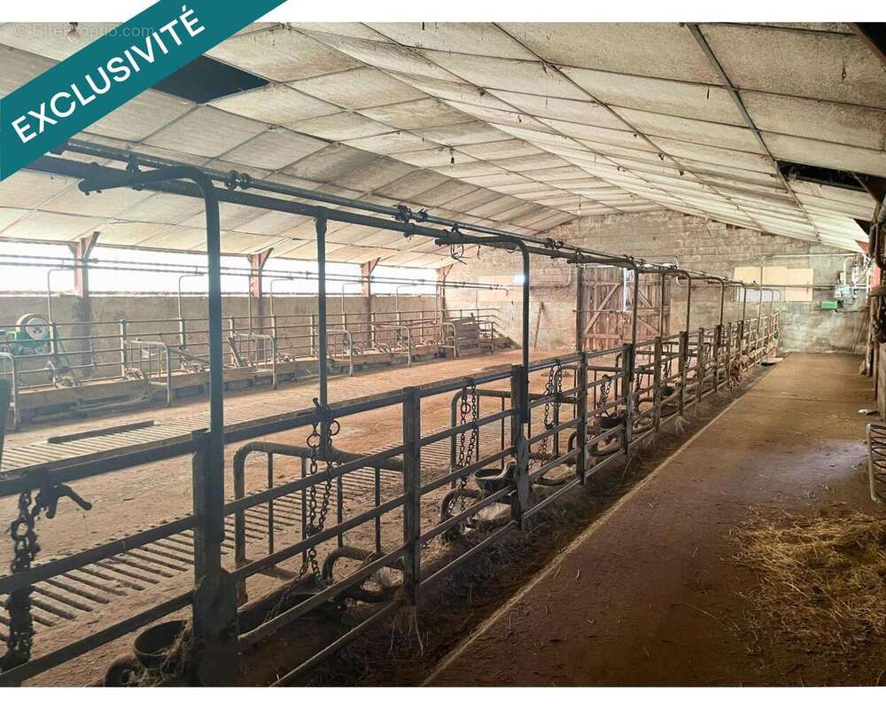 Photo 2 - Commerce à SAULZET-LE-FROID