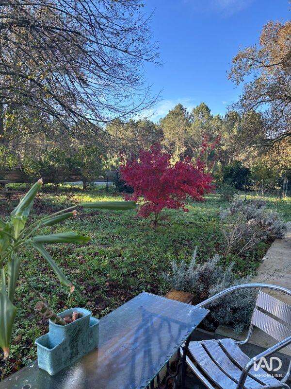 Photo 4 - Maison à MAGESCQ