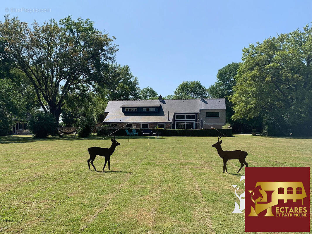 Maison à NORT-SUR-ERDRE