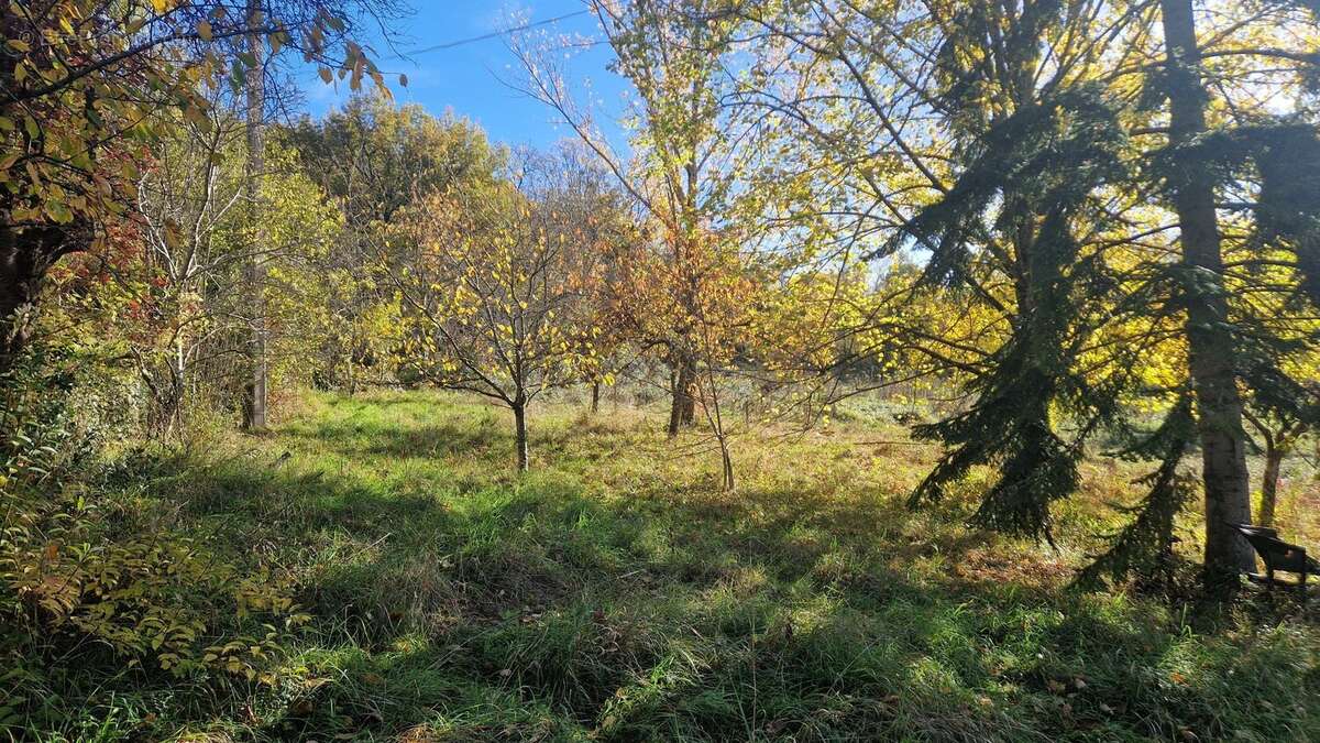 Maison de caractère au calme avec 2,7ha de terrain - photo 6