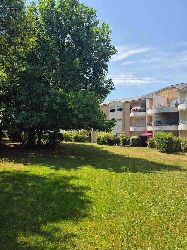 Appartement  3 pièces 55.63 m2 - photo 6
