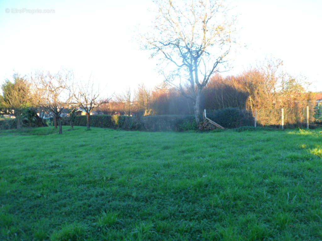 Pouzauges ! terrain a batir - photo 2