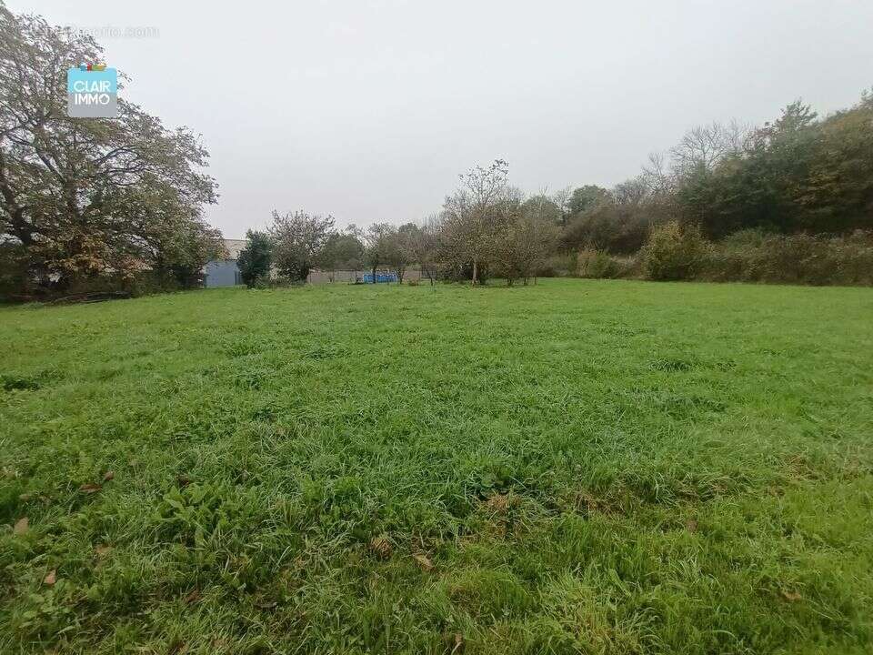 Terrain 2460 m² à Macon  - photo 13
