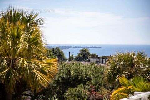Maison à CANNES