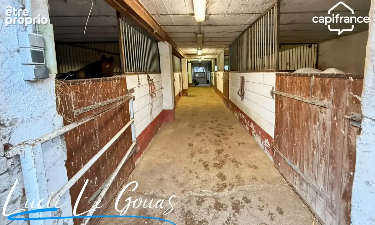 Ferme équestre - photo 27