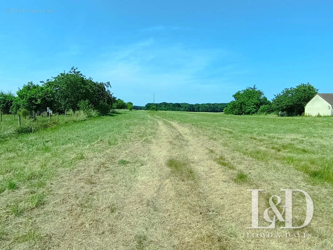 Terrain à SAINT-SEROTIN