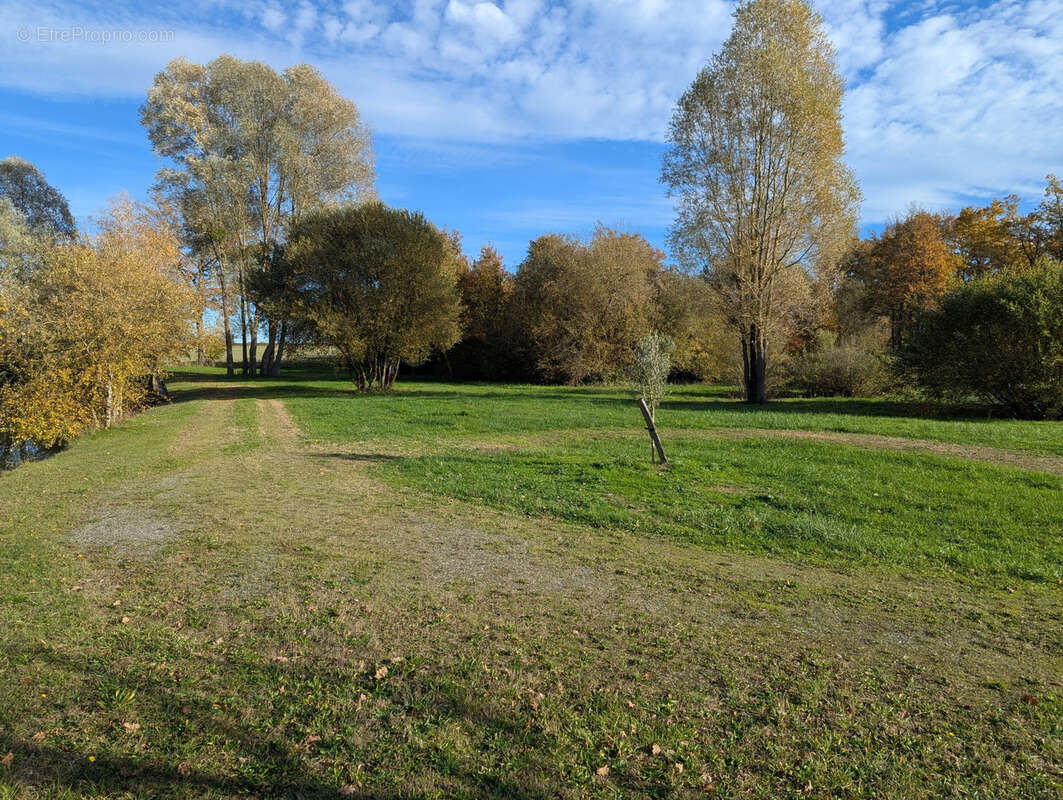 Terrain à LE CHATELET
