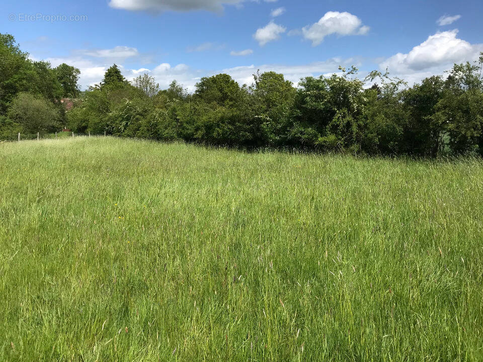 Terrain à MANNEVILLE-SUR-RISLE
