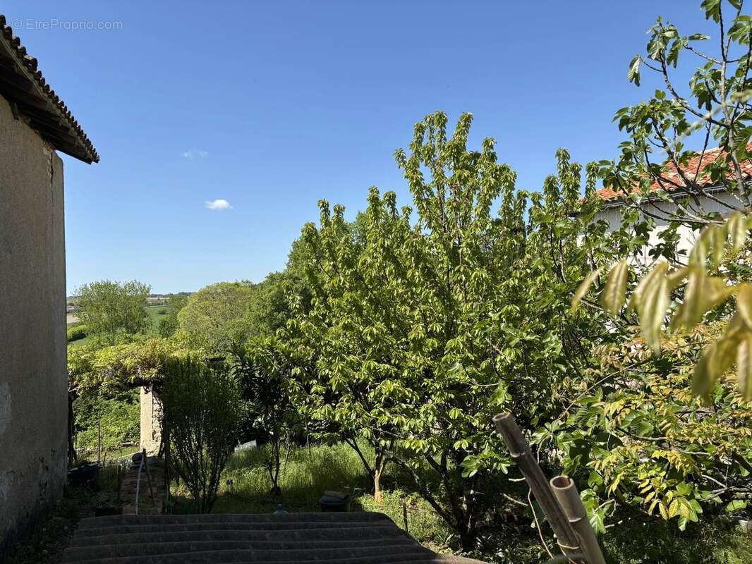 Maison à AUBETERRE-SUR-DRONNE
