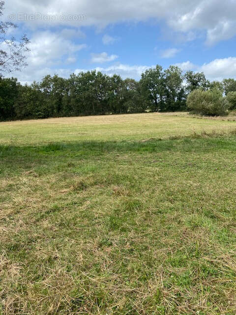 Maison à LA GENETOUZE