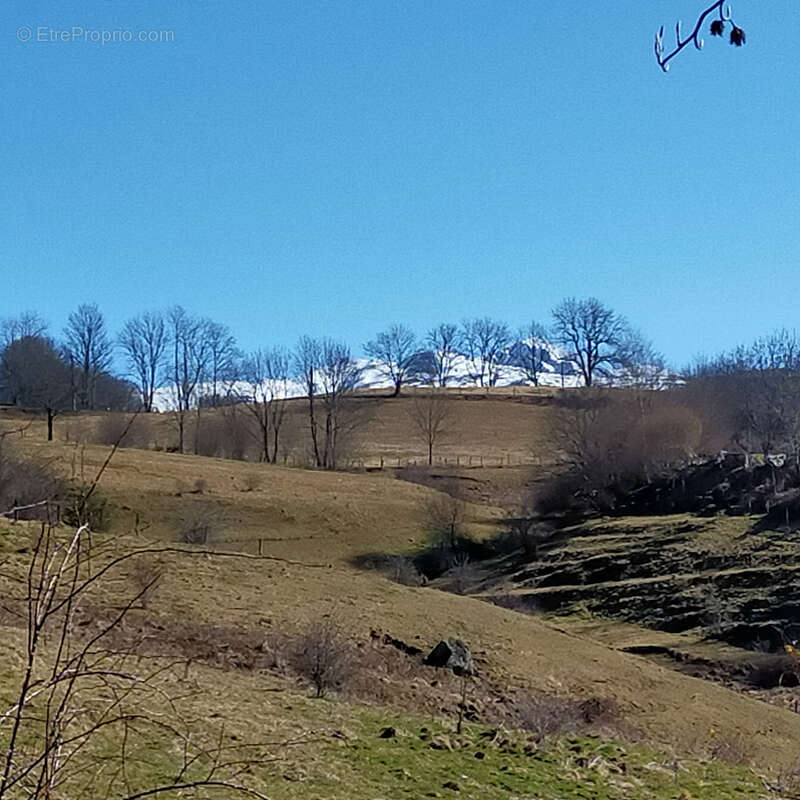 Terrain à LA TOUR-D&#039;AUVERGNE