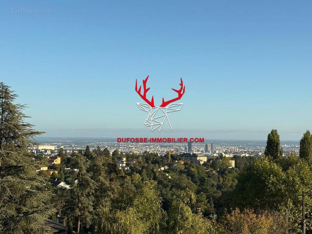 Photo 1 - Terrain à SAINT-DIDIER-AU-MONT-D&#039;OR