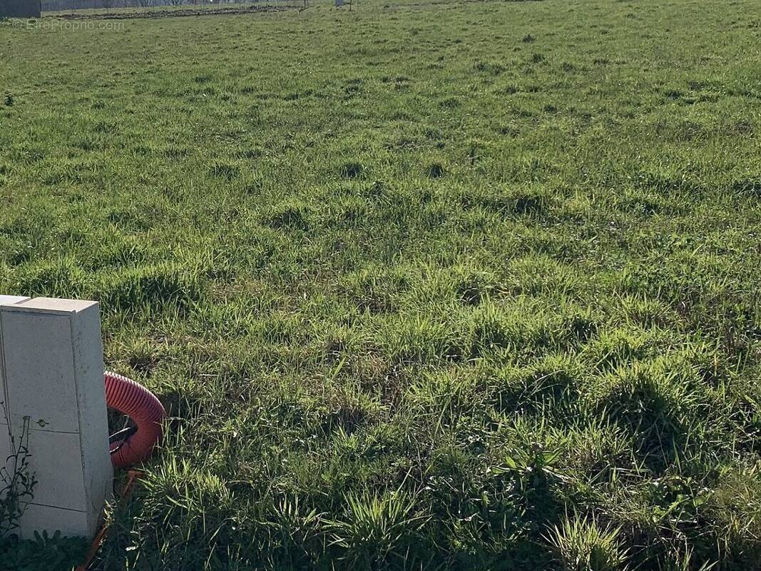 Terrain à SAINT-PERE-EN-RETZ