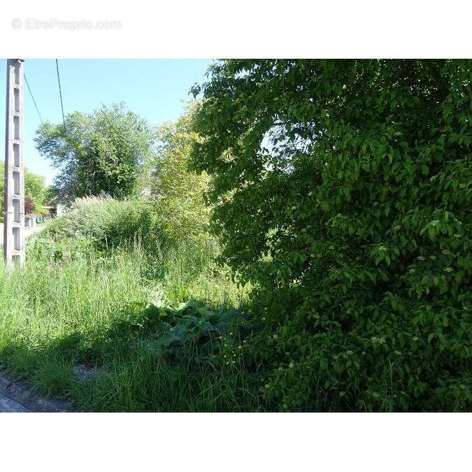Terrain 586 m² à Meyssac  - photo 2